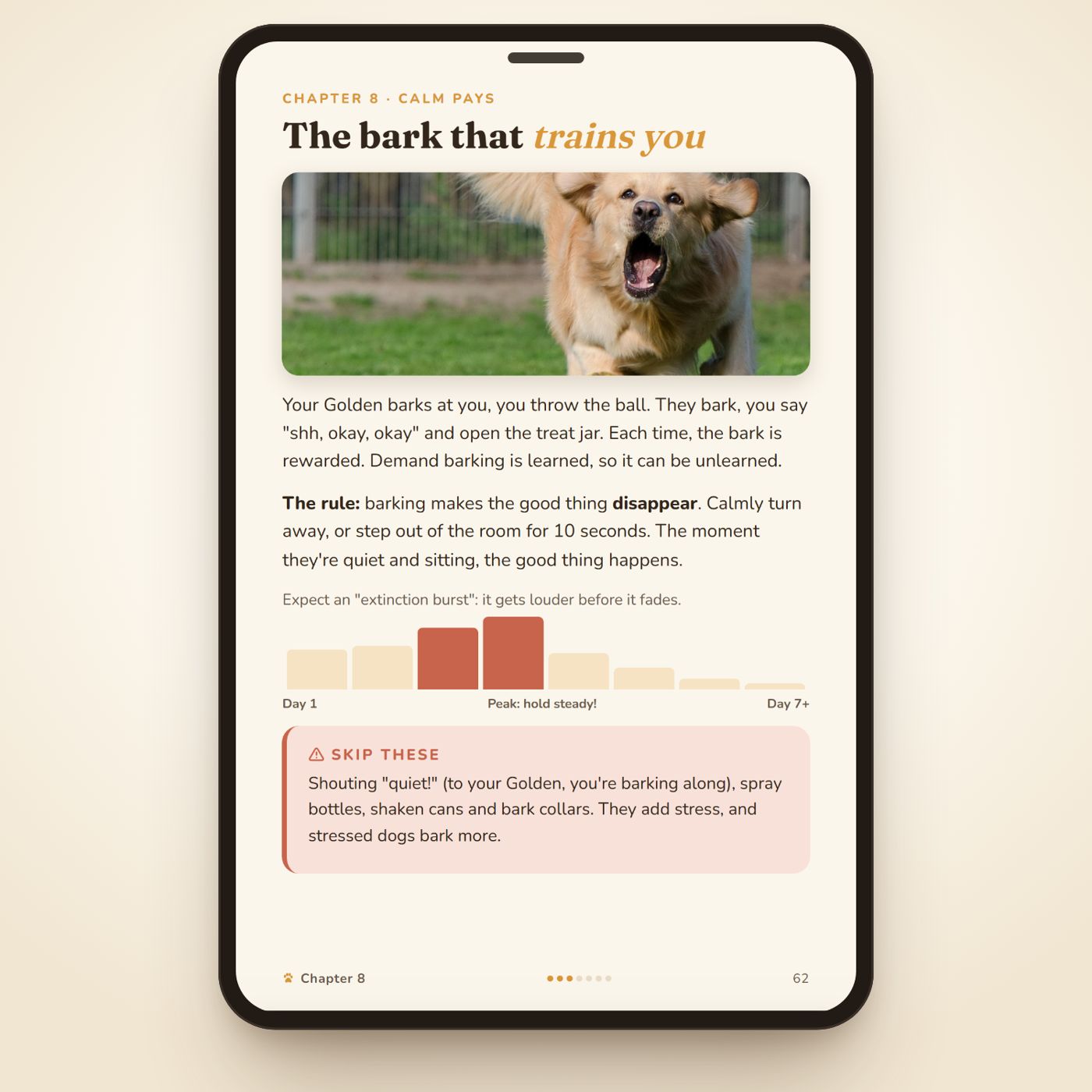 Inside: the bark that trains you