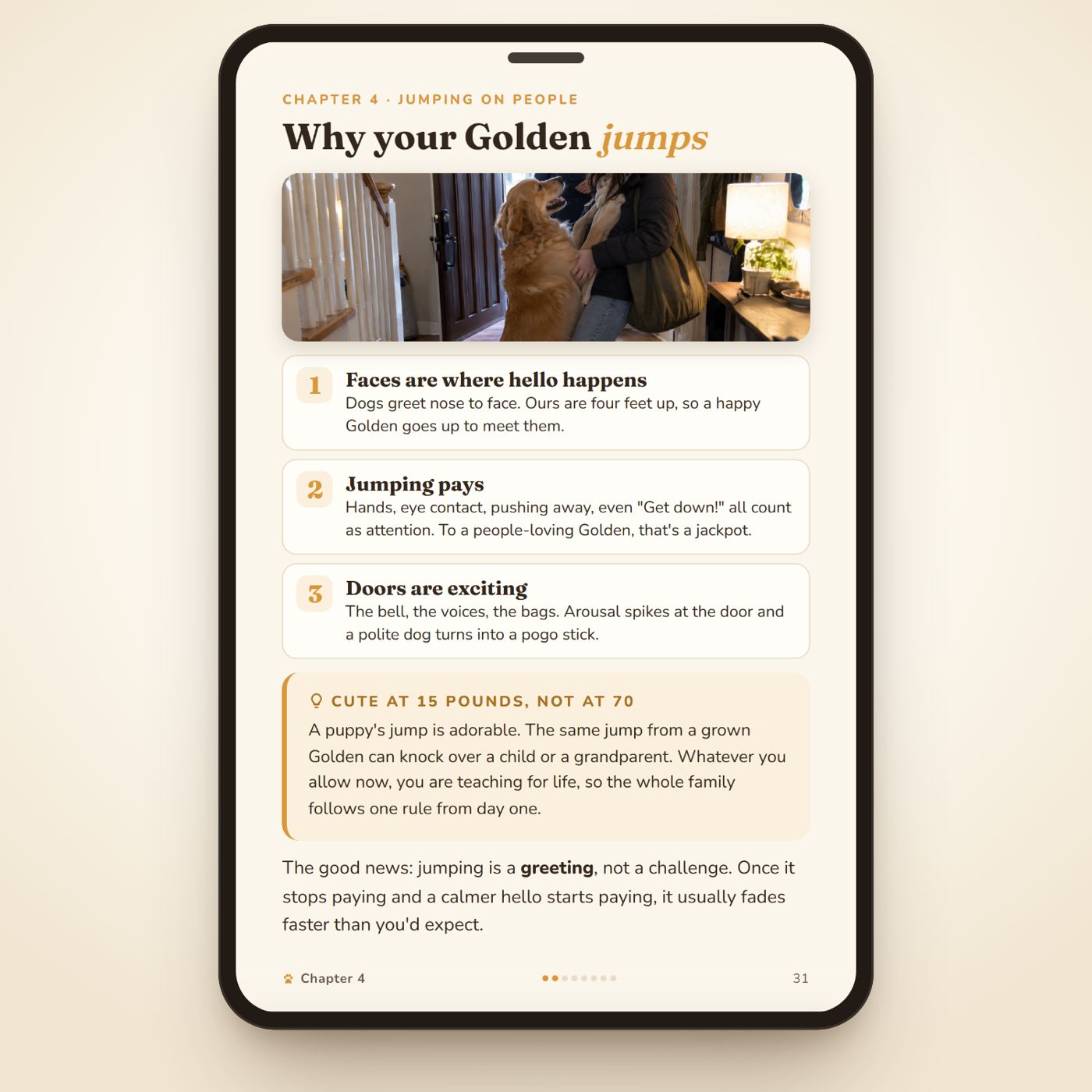 Inside: why your Golden jumps
