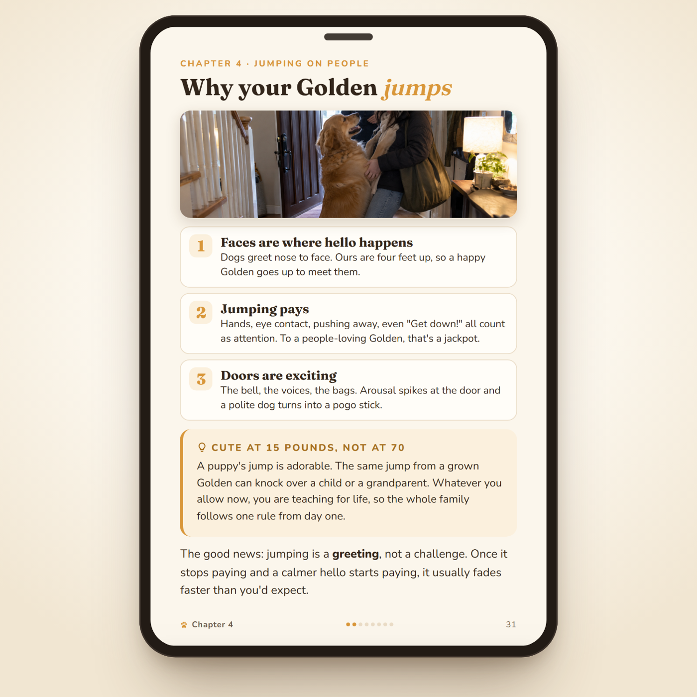 Inside: why your Golden jumps